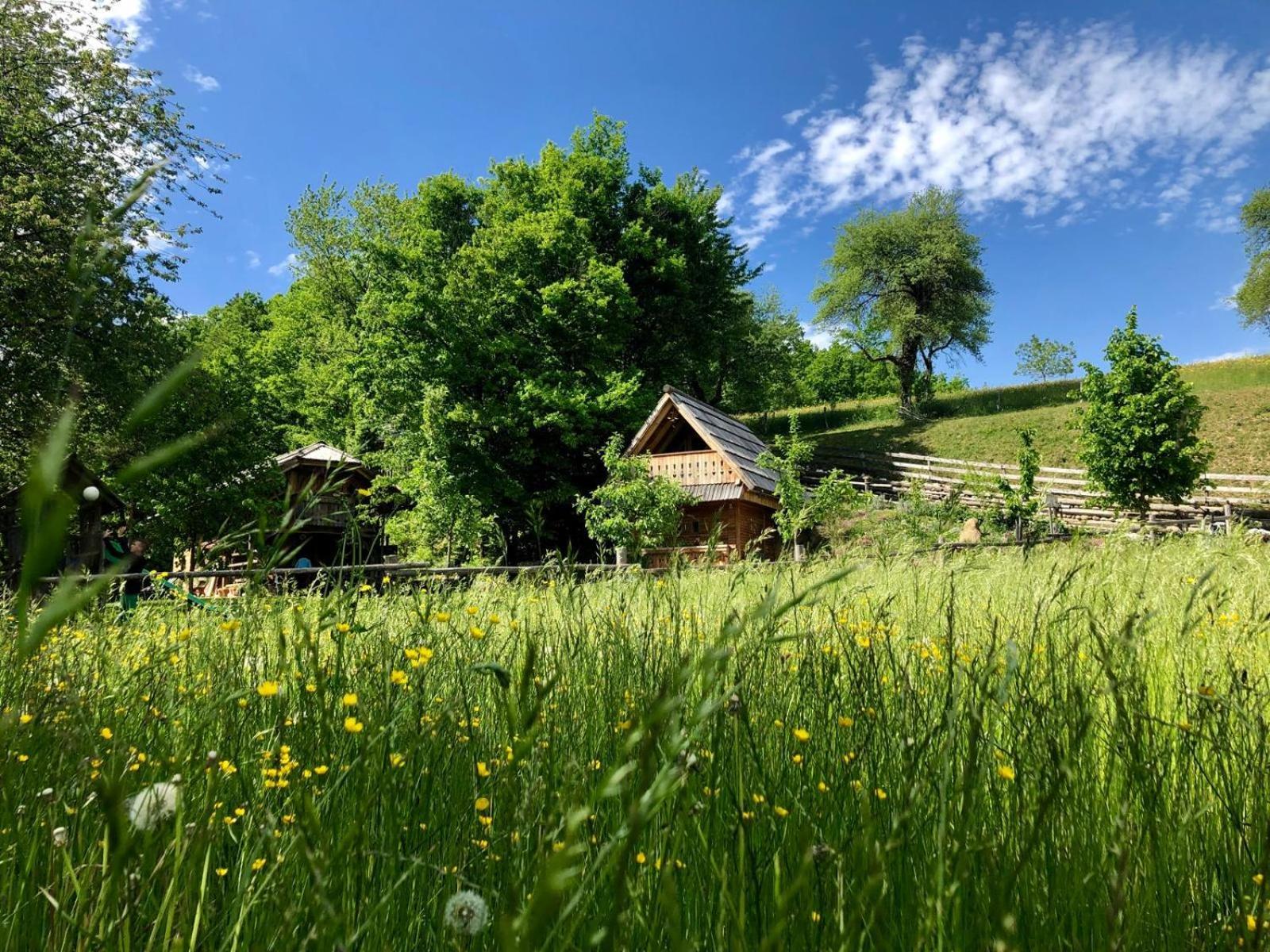 Hotel Glamping Savinja Ljubno Exterior foto